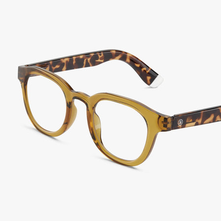 Brown tortoiseshell glasses on a white background