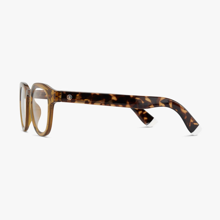 Tortoiseshell glasses on a white background