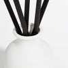 White vase with black diffuser reeds on a white background